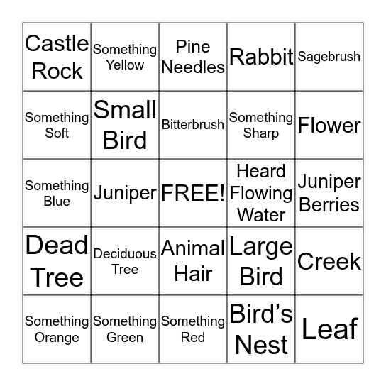 Castle Rocks Scavenger Hunt Bingo! Bingo Card