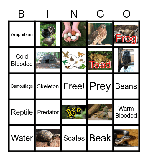 Final Friday Bingo (Grades 1 & 2) Bingo Card