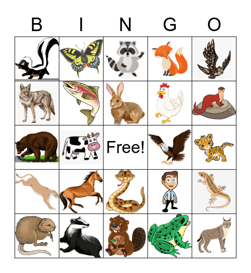 Animal Bingo! Bingo Card