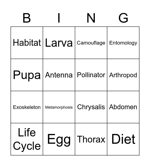 Insect Bingo Card