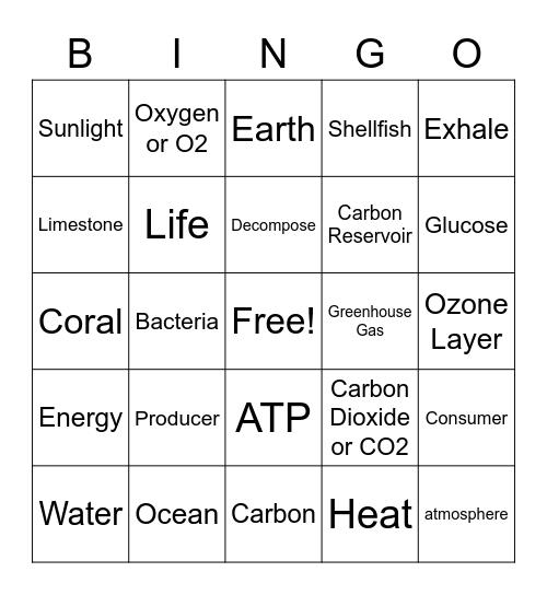 Carbon Cycle Bingo! Bingo Card