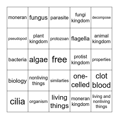 Chapter 2 Review Bingo Card