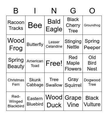 Signs of Spring Bingo! Bingo Card