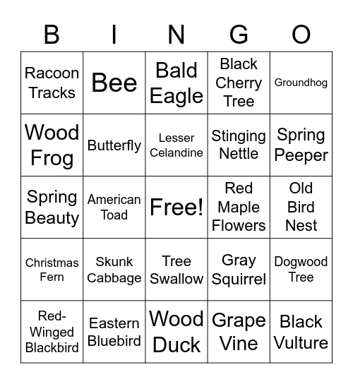Signs of Spring Bingo! Bingo Card