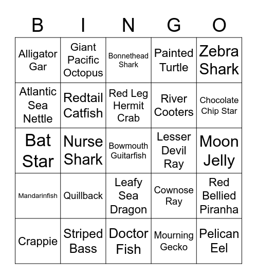 Go Fish! at the STL Aquarium Bingo Card