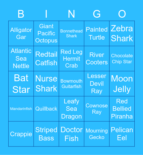 Go Fish! at the STL Aquarium Bingo Card
