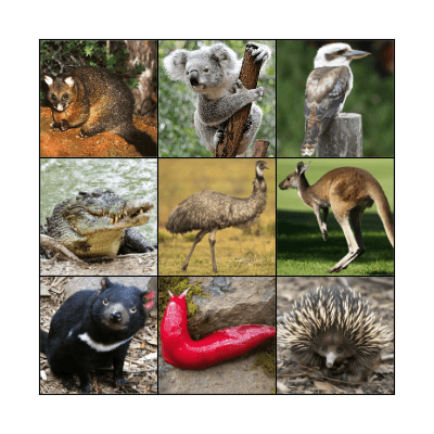 Australian Animal Bingo Card