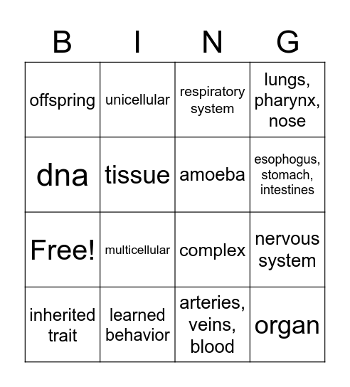 Human Body and Genetics Bingo Card