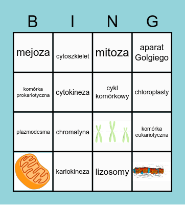 Komórka Bingo Card