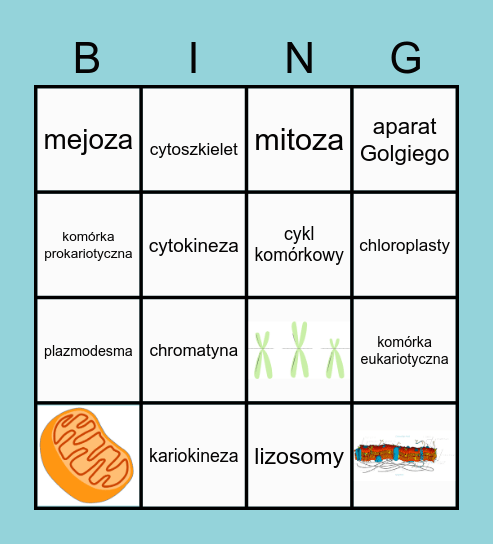 Komórka Bingo Card