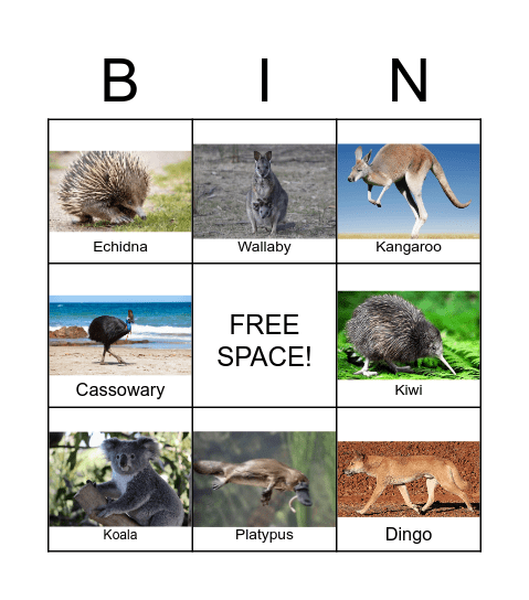 Oceania Animals Bingo Card