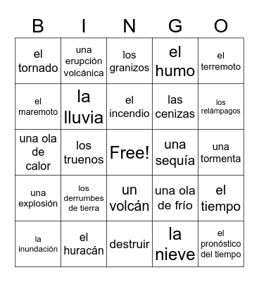 Desastres Naturales Bingo Card