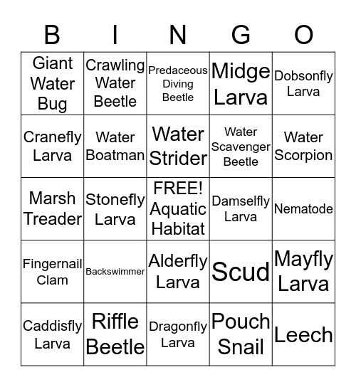 Aquatic Invertebrate BINGO Card