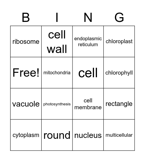 Cells Bingo Card