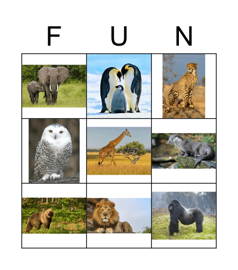 Zoo Bingo! Bingo Card