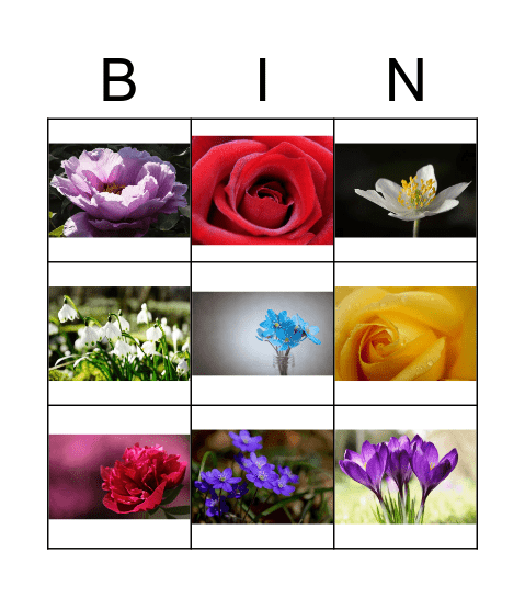 bingo kwiaty Bingo Card
