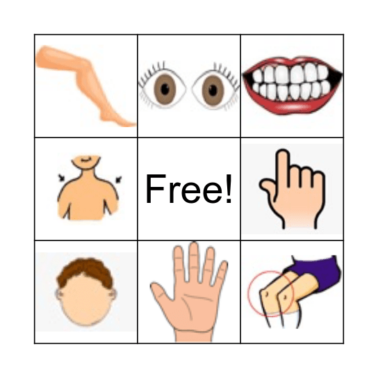 Body Part Bingo Card