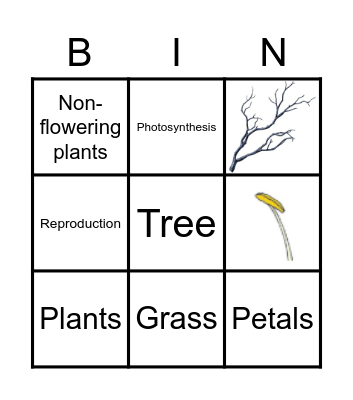 Bingo Plant. Bingo Card