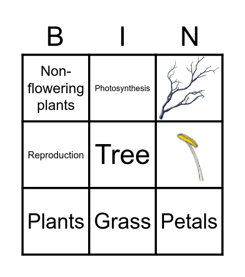 Bingo Plant. Bingo Card
