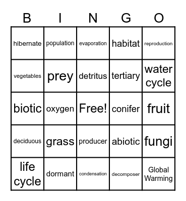 Environmental Life Cycles Bingo Card