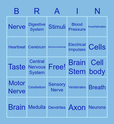 Nervous System Bingo Card