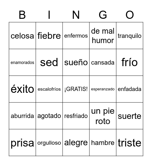 V1 Sentimientos y expresiones con TENER Bingo Card