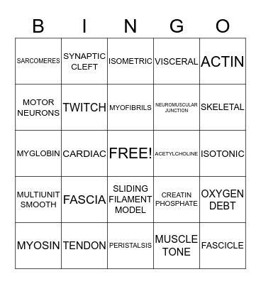 MUSCULAR SYSTEM Bingo Card
