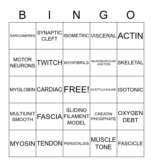 MUSCULAR SYSTEM Bingo Card
