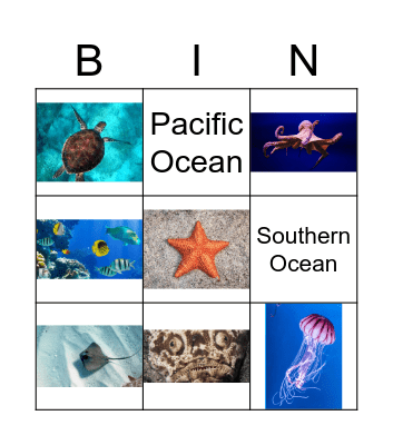 DDP Ocean Animals Bingo Card
