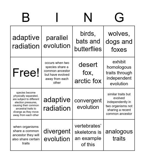 types of evolution bingo Card