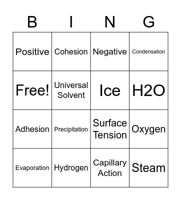 Grubbs Water Bingo Card