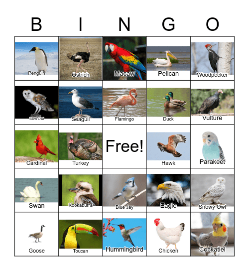 Bird Bingo Card