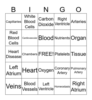 Cardiovascular System Bingo Card