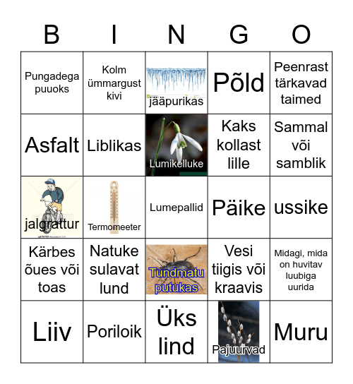 Kevade märkamise BINGO Card
