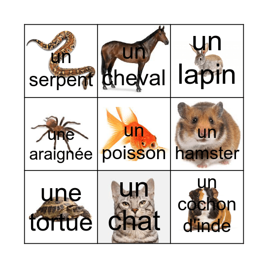 Animal Bingo Card