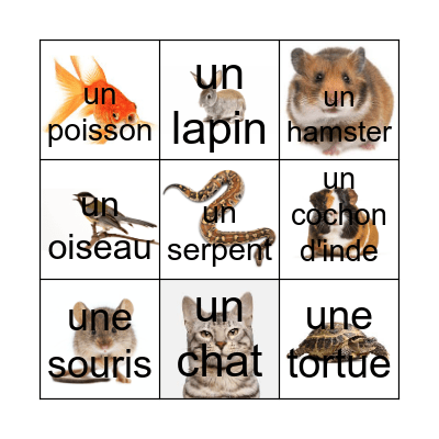 Animal Bingo Card