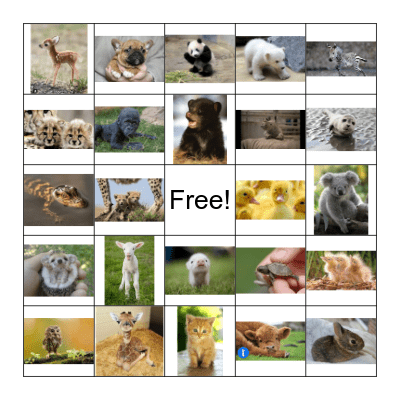 Baby Animals Bingo Card