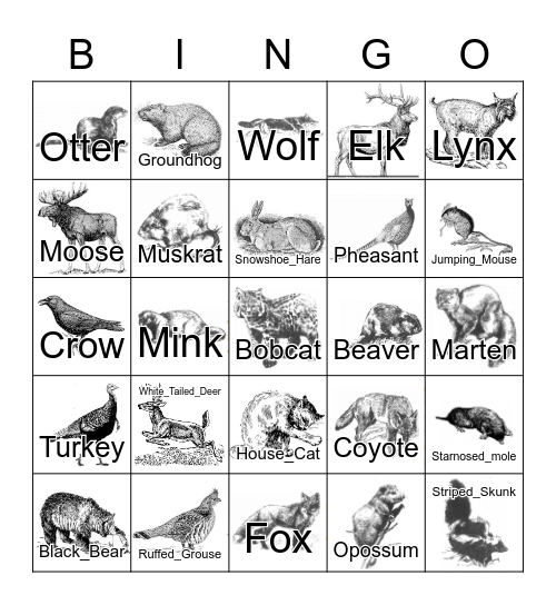 Wisconsin Fauna Bingo Card