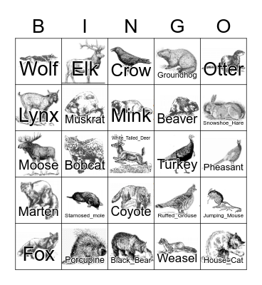 Wisconsin Fauna Bingo Card