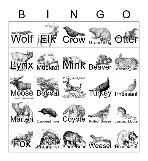 Wisconsin Fauna Bingo Card