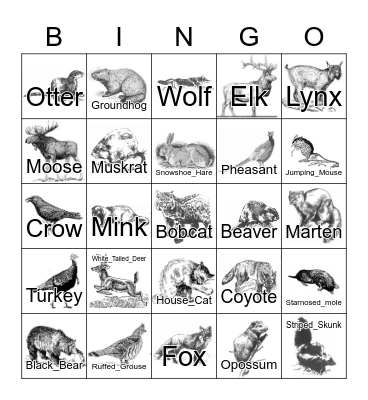Wisconsin Fauna Bingo Card