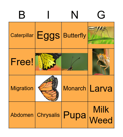 Butterfly Bingo Card