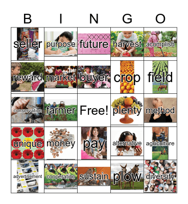 3rd Grade, Unit 4 Bingo Card