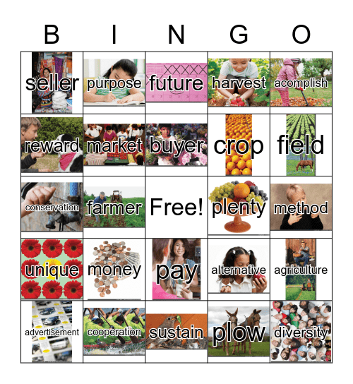 3rd Grade, Unit 4 Bingo Card