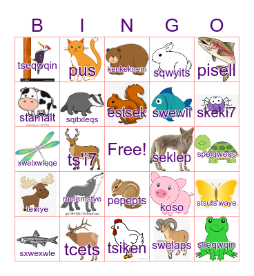 Secwepemc Animals Bingo Card
