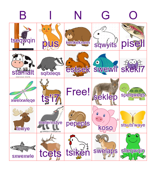 Secwepemc Animals Bingo Card