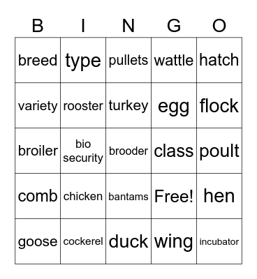 Poultry Bingo Card