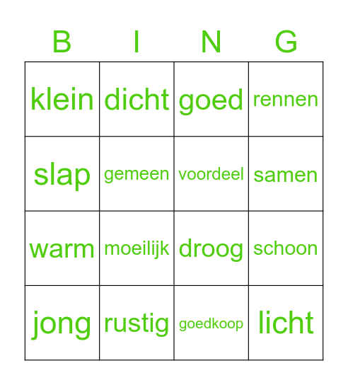 Tegenstellingen! Bingo Card