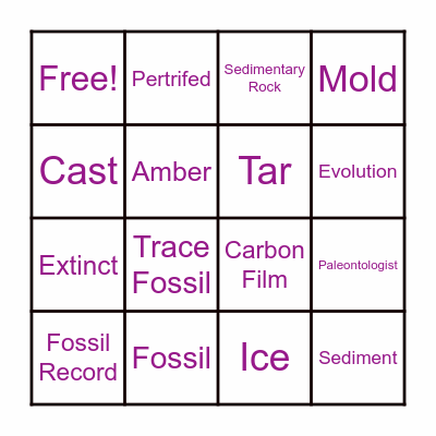 Fossil Formation Bingo Card