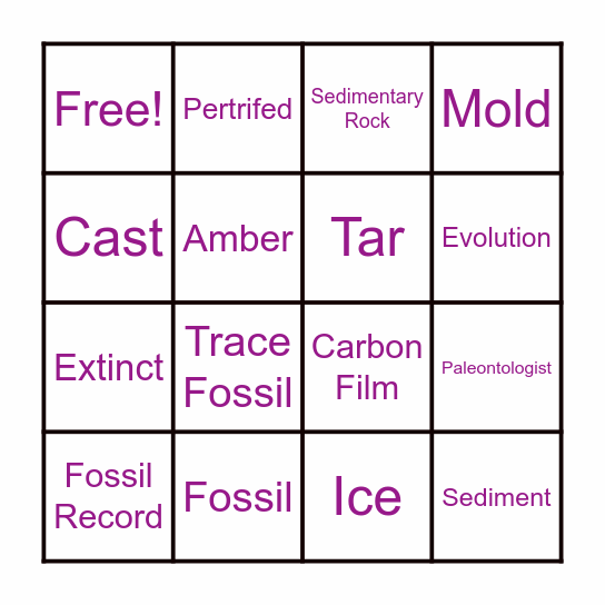 Fossil Formation Bingo Card